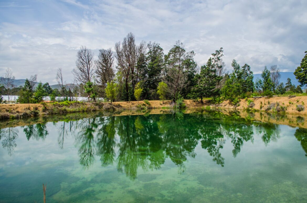 Estanque tranquilo que refleja árboles frondosos en Villa de Leyva, Colombia, mostrando una naturaleza serena.