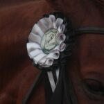Un caballo que lleva una cinta de premio blanca y negra, mostrando logro.