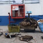 Imagen de la cobertura periodística