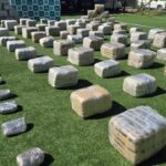 Imagen de la cobertura periodística